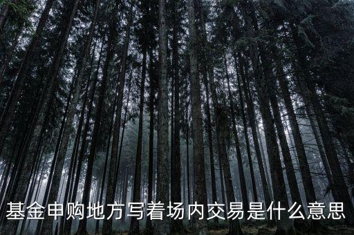 基金場內(nèi)交易是什么意思，什么是基金場內(nèi)交易