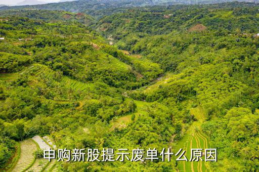 新股申購為什么是廢單，定價申購新股為什么總提示是廢單