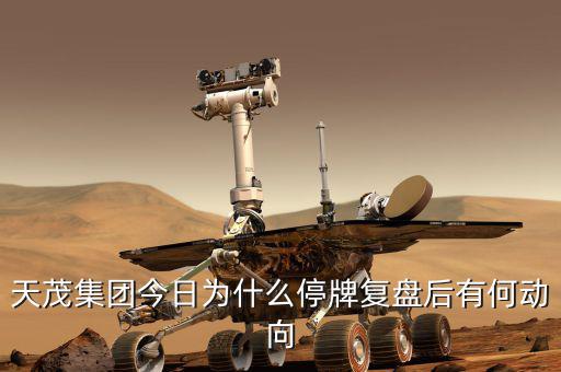 天茂集團(tuán)什么時(shí)候開盤，天茂集團(tuán)今日為什么停牌復(fù)盤后有何動(dòng)向