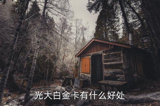 光大微稅聯(lián)白金卡有什么好處，光大銀行白金卡的好處我提供本人的100平以上的房產(chǎn)證和作為法人