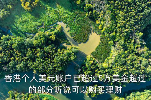 美元在香港投資什么比較好，香港個人美元賬戶已超過5萬美金超過的部分聽說可以購買理財
