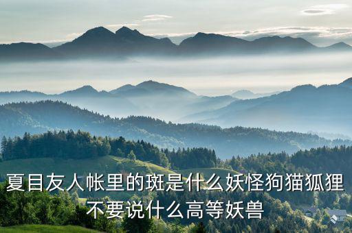什么是棄風限電，什么是理想非極化電極