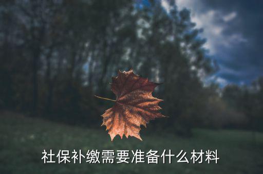 個(gè)人補(bǔ)交社保需要什么資料，單位給個(gè)人補(bǔ)繳社保需要個(gè)人提供什么資料