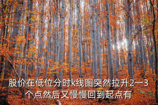 低位反彈之后加速拉升什么情況，股價在低位分時k線圖突然拉升2一3個點(diǎn)然后又慢慢回到起點(diǎn)有