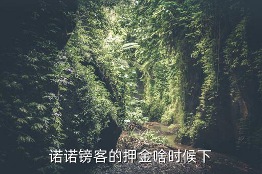 諾諾鎊客里的收本金額是什么，諾諾鎊客的押金啥時(shí)候下