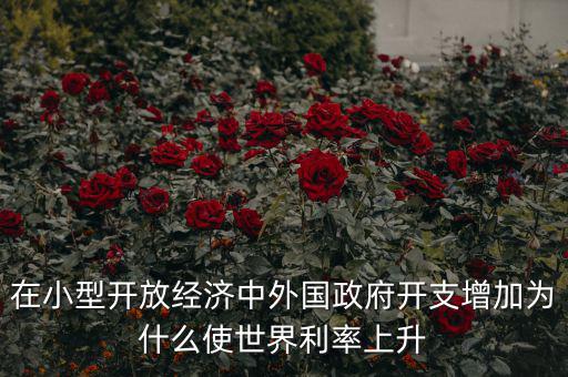 在小型開放經(jīng)濟(jì)中外國政府開支增加為什么使世界利率上升