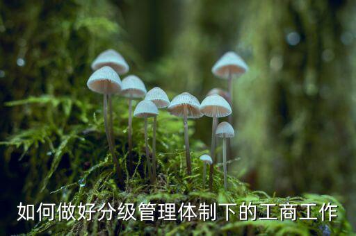 什么是分層分級管理，如何做好分級管理體制下的工商工作