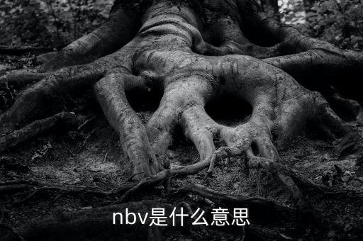 保險(xiǎn)nbv是什么意思，nbv是什么意思