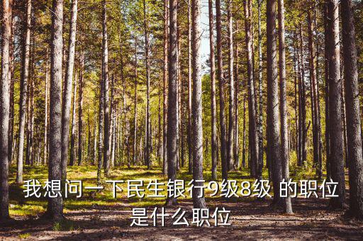 銀行評級8級是什么，銀行貸款評級