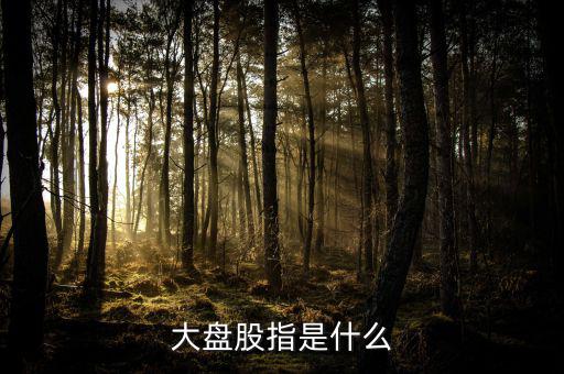 大盤股指什么，請(qǐng)問什么叫大盤股
