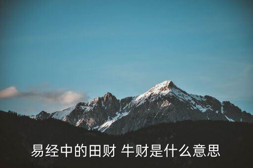 牛牛理財(cái)是什么意思，易經(jīng)中的田財(cái) 牛財(cái)是什么意思
