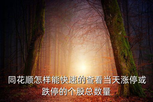 同花順怎樣能快速的查看當(dāng)天漲停或跌停的個(gè)股總數(shù)量