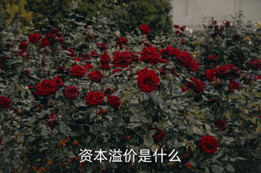 什么是溢價，什么是資本溢價