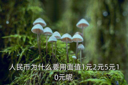 為什么人民幣面值，人民幣為什么要用面值1元2元5元10元呢