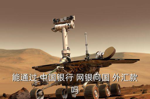 能通過(guò) 中國(guó)銀行 網(wǎng)銀向國(guó) 外匯款嗎