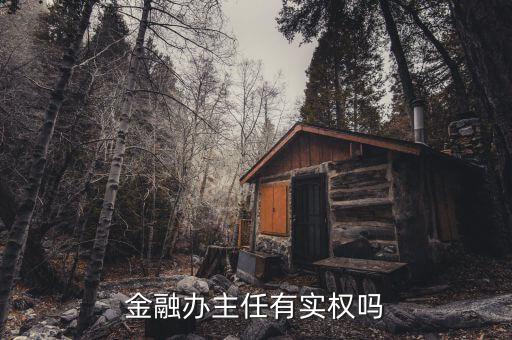 福建省金融辦主任有什么權(quán)利，金融辦主任有實(shí)權(quán)嗎