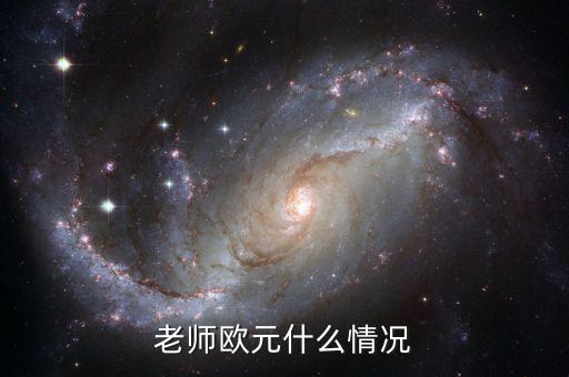 歐元國家是什么意思，老師歐元什么情況