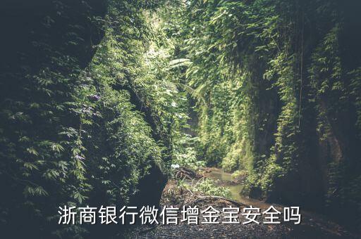 浙商銀行增金寶什么情況，浙商銀行增金寶安全嗎