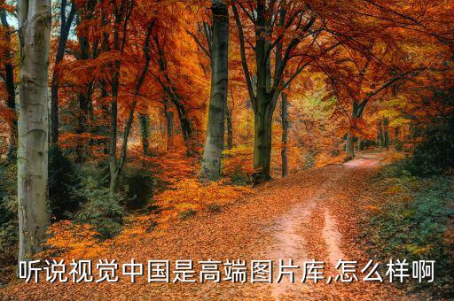 壹圖網(wǎng)怎么樣,商業(yè)正版圖片下載站點(diǎn)擊瀏覽