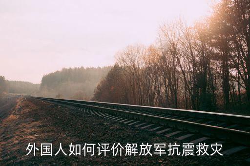 外國人如何評(píng)價(jià)解放軍抗震救災(zāi)