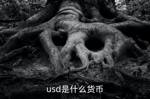 usd什么貨幣，什么是USD