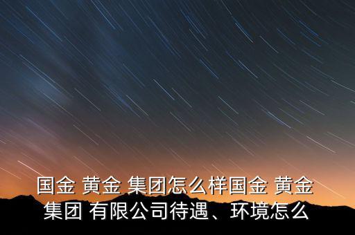 國(guó)金 黃金 集團(tuán)怎么樣國(guó)金 黃金 集團(tuán) 有限公司待遇、環(huán)境怎么