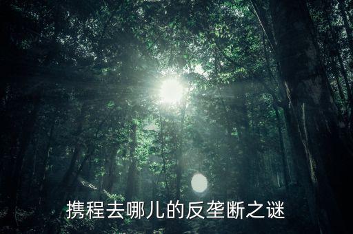 梁建章為什么離開(kāi)攜程，攜程老板梁建章對(duì)公司的投訴難道只會(huì)說(shuō)抱歉嗎這簡(jiǎn)直有死