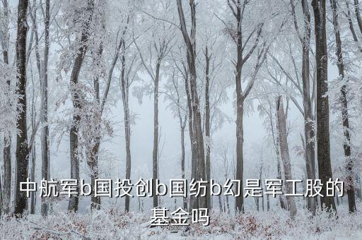 國創(chuàng)投b是什么基金，請(qǐng)教創(chuàng)業(yè)b是私募基金嗎屬于清盤對(duì)象嗎