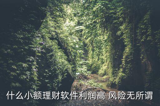 什么小額理財(cái)最安全，什么小額理財(cái)軟件利潤高 風(fēng)險(xiǎn)無所謂
