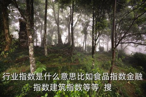 申萬(wàn)行業(yè)指數(shù)是什么，申萬(wàn)證券行業(yè)指數(shù)分級(jí)是什么指數(shù)基金嗎
