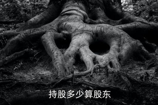 持股數(shù)量怎么填,向股東以外的人轉讓股權須獲股東過半數(shù)同意