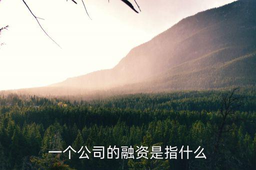 什么叫融資，一個公司的融資是指什么