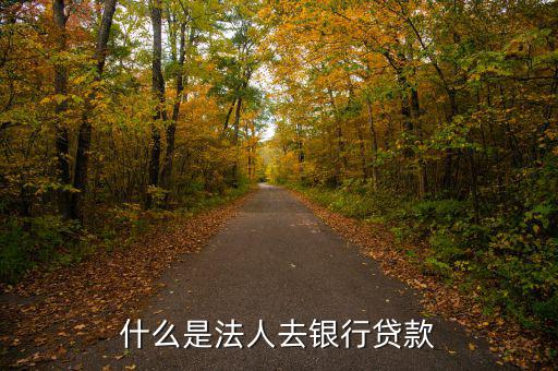 什么是法人銀行，中國(guó)農(nóng)業(yè)銀行是什么法人