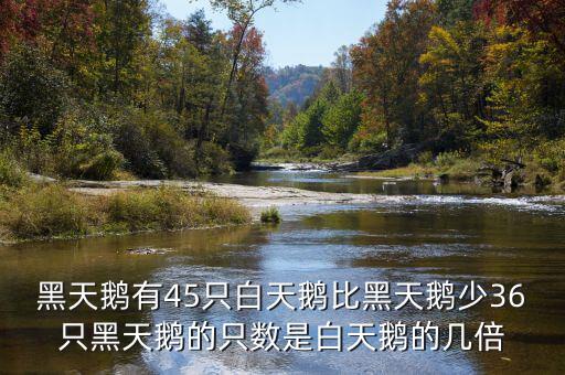 什么是黑天鵝，黑天鵝有45只白天鵝比黑天鵝少36只黑天鵝的只數(shù)是白天鵝的幾倍