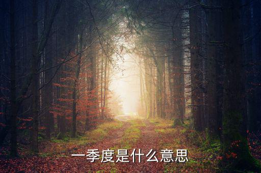 每一季度是什么意思，每季度什么意思