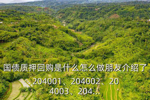 國(guó)債質(zhì)押回購(gòu)是什么怎么做朋友介紹了 204001、204002、204003、204...