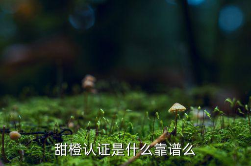 甜橙金融公司是什么，便捷的網(wǎng)貸理財(cái)企業(yè)是什么