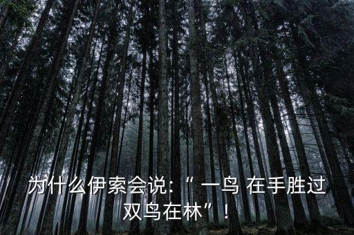 為什么伊索會(huì)說(shuō):“ 一鳥 在手勝過雙鳥在林”!