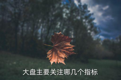 股市大盤關注什么指數(shù)，大家看大盤走勢都是看的哪個指數(shù)