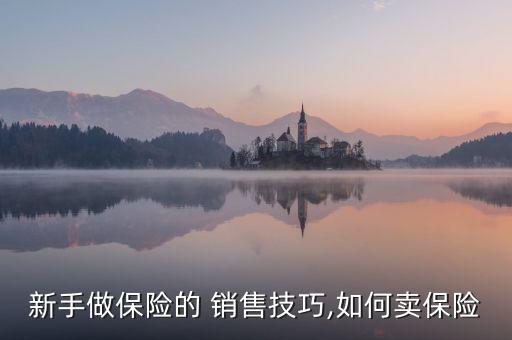 新手做保險的 銷售技巧,如何賣保險