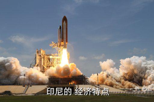  印尼的 經(jīng)濟特點