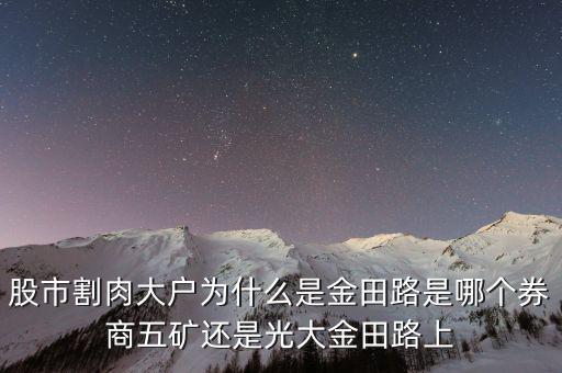 為什么益田路總割肉，股市割肉大戶為什么是金田路是哪個券商五礦還是光大金田路上