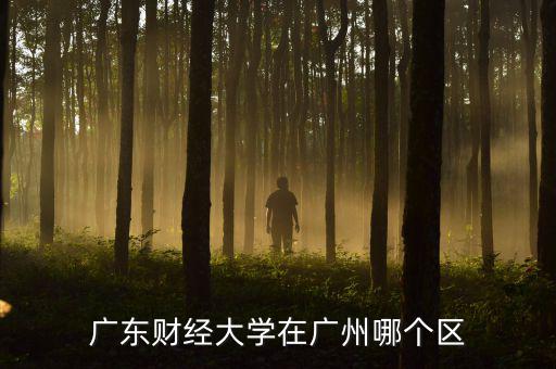 廣東財經(jīng)大學在廣州哪個區(qū)