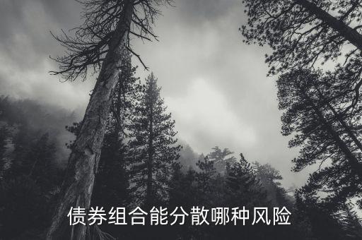 債券組合能分散哪種風(fēng)險