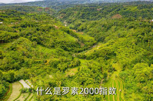 平安羅素是什么，平安epass是什么東西