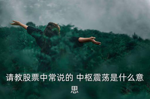 請(qǐng)教股票中常說的 中樞震蕩是什么意思