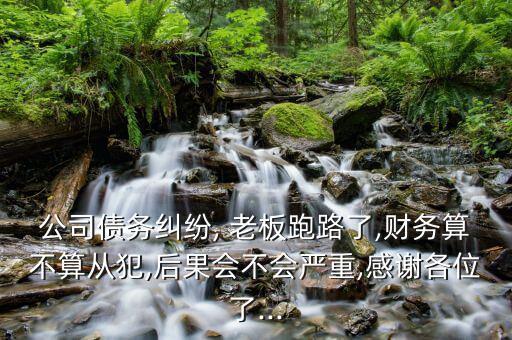 公司債務(wù)糾紛, 老板跑路了,財(cái)務(wù)算不算從犯,后果會不會嚴(yán)重,感謝各位了...