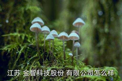 金智集團有限公司怎么樣,云南金智科技有限公司開業(yè)經(jīng)營
