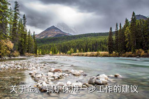 關(guān)于金、 銅礦床進一步工作的建議
