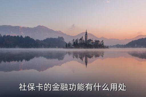 社?？ǖ慕鹑诠δ苡惺裁从锰? class=